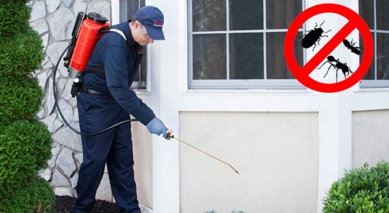 Kırşehir Dezenfeksiyon böcek ilaçlama ve haşere kontrolü — ilaclama-tr.com